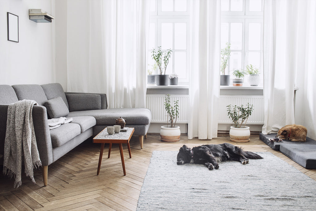 7 Tips for Arranging a Small Living Room Layout